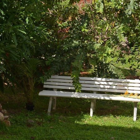 Residence De Vacances Mon Refuge - Bungalow De Type T3 Grande Anse 외부 사진