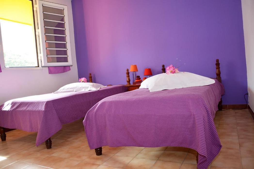Residence De Vacances Mon Refuge - Bungalow De Type T3 Grande Anse 외부 사진