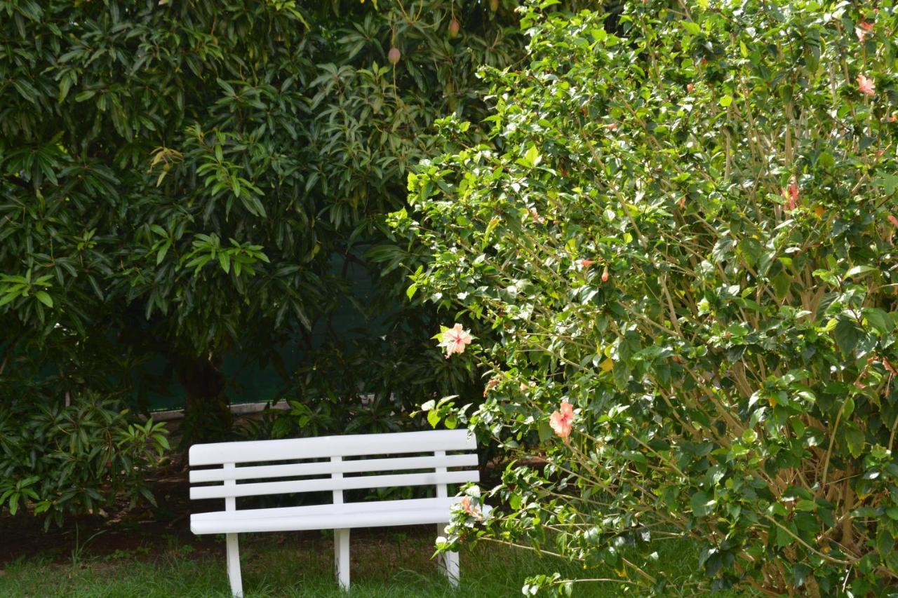 Residence De Vacances Mon Refuge - Bungalow De Type T3 Grande Anse 외부 사진