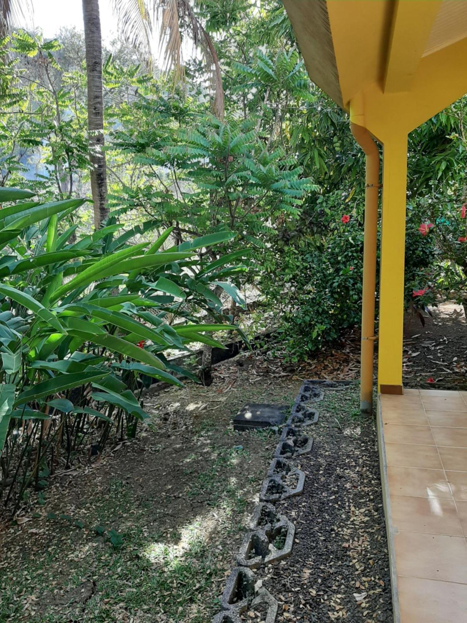 Residence De Vacances Mon Refuge - Bungalow De Type T3 Grande Anse 외부 사진