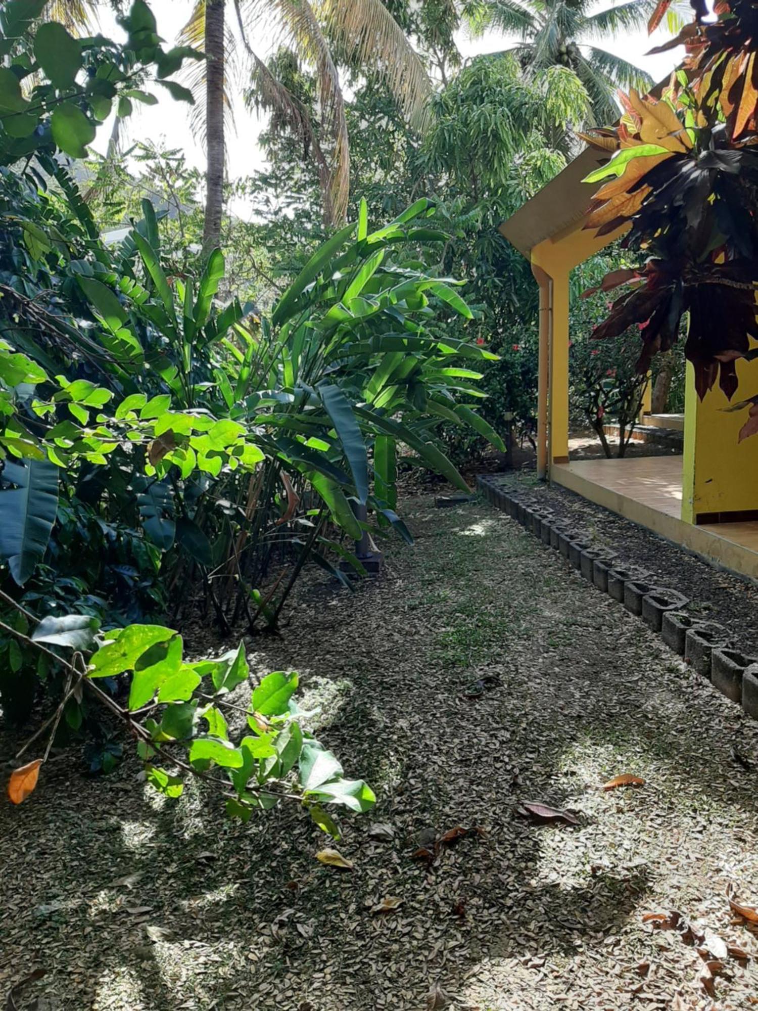 Residence De Vacances Mon Refuge - Bungalow De Type T3 Grande Anse 외부 사진